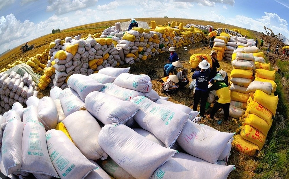 Giá lương thực cao nhất gần bốn năm: Giá đường dẫn đà tăng, cao lương bật 13,7% - ảnh 1