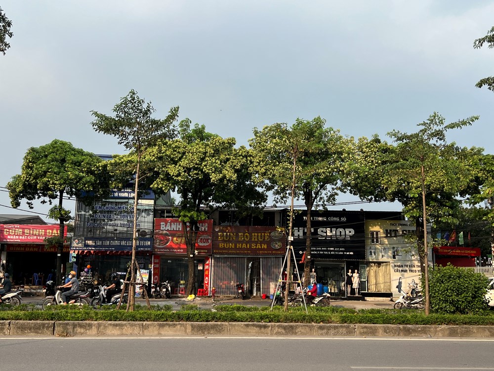 Bê tông hóa và nắng nóng: Vì sao đô thị Việt Nam ngày càng khó sống? - ảnh 5