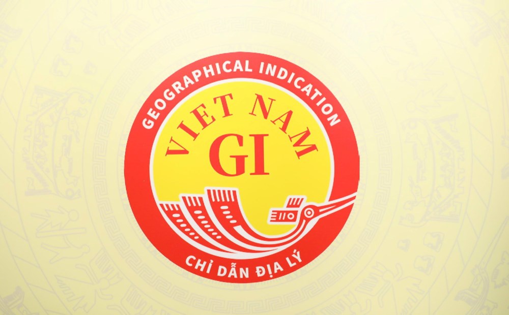 Việt Nam công bố Biểu trưng chỉ dẫn địa lý quốc gia (2022) - ảnh 2