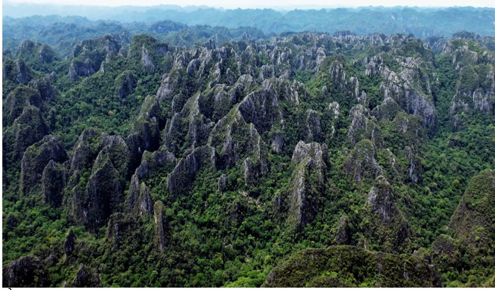 UNESCO công nhận Di sản liên biên giới Vườn quốc gia Phong Nha - Kẻ Bàng và Vườn quốc gia Hin Nam Nô - Lào - ảnh 8
