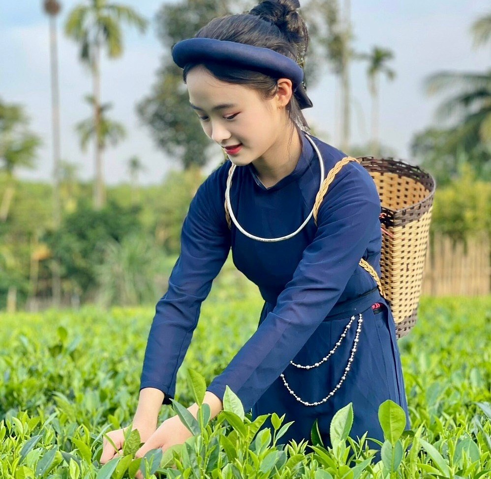 Lan tỏa những mô hình kinh tế hợp tác giúp người dân “đất trà” giảm nghèo - ảnh 5