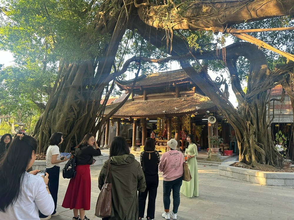 Khơi dậy nguồn lực nội sinh phát triển bền vững - ảnh 1