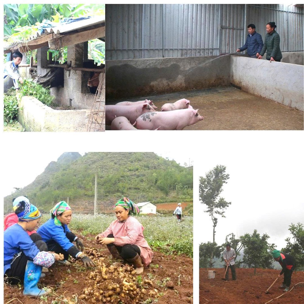 Kỳ 2: Giảm nghèo bền vững – từ ý chí người dân và nguồn lực Nhà nước - ảnh 1