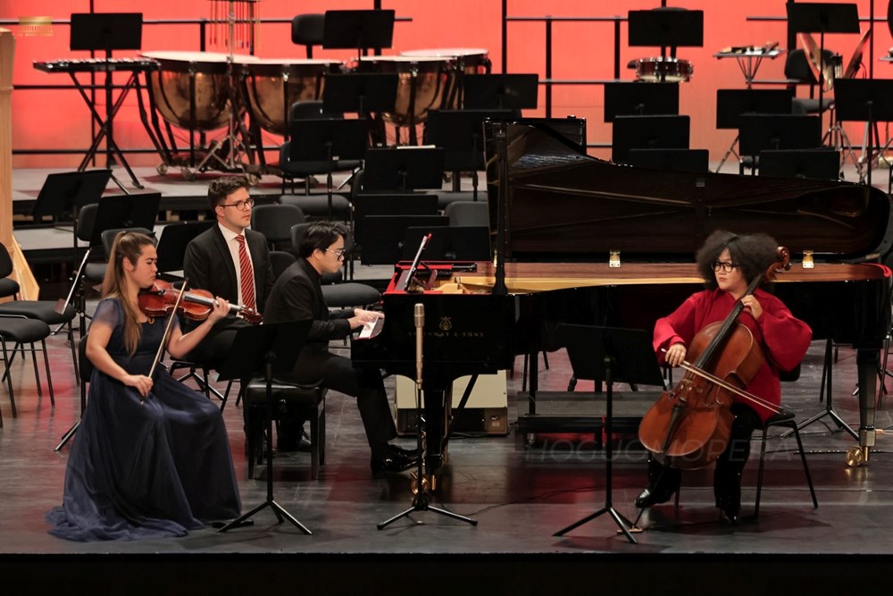 Hoà nhạc “Tấu khúc không lời”- nhịp cầu nghệ thuật Việt - Đức - ảnh 3