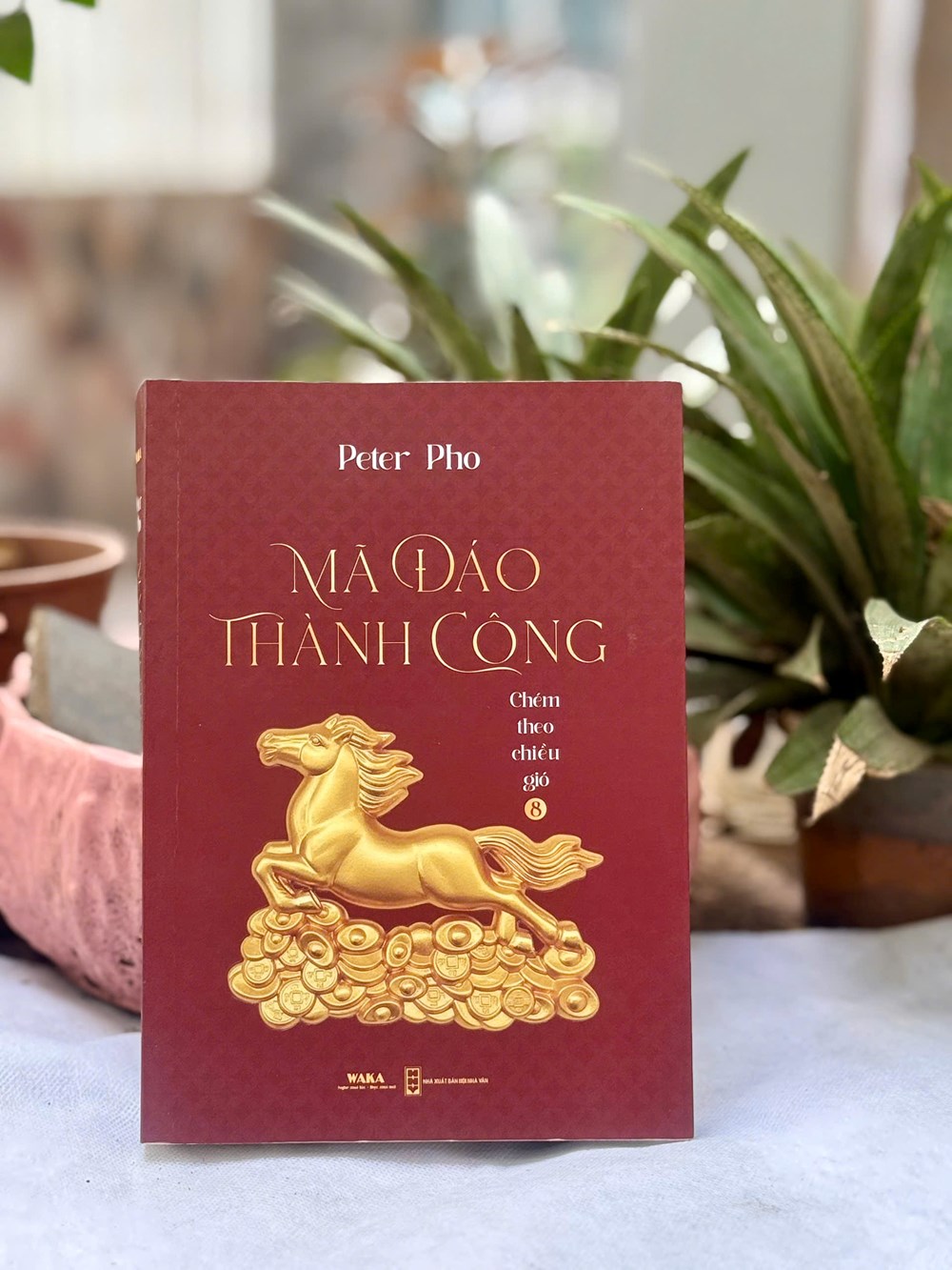 “Mã đáo thành công” không phải cuốn sách để đọc vội - ảnh 3