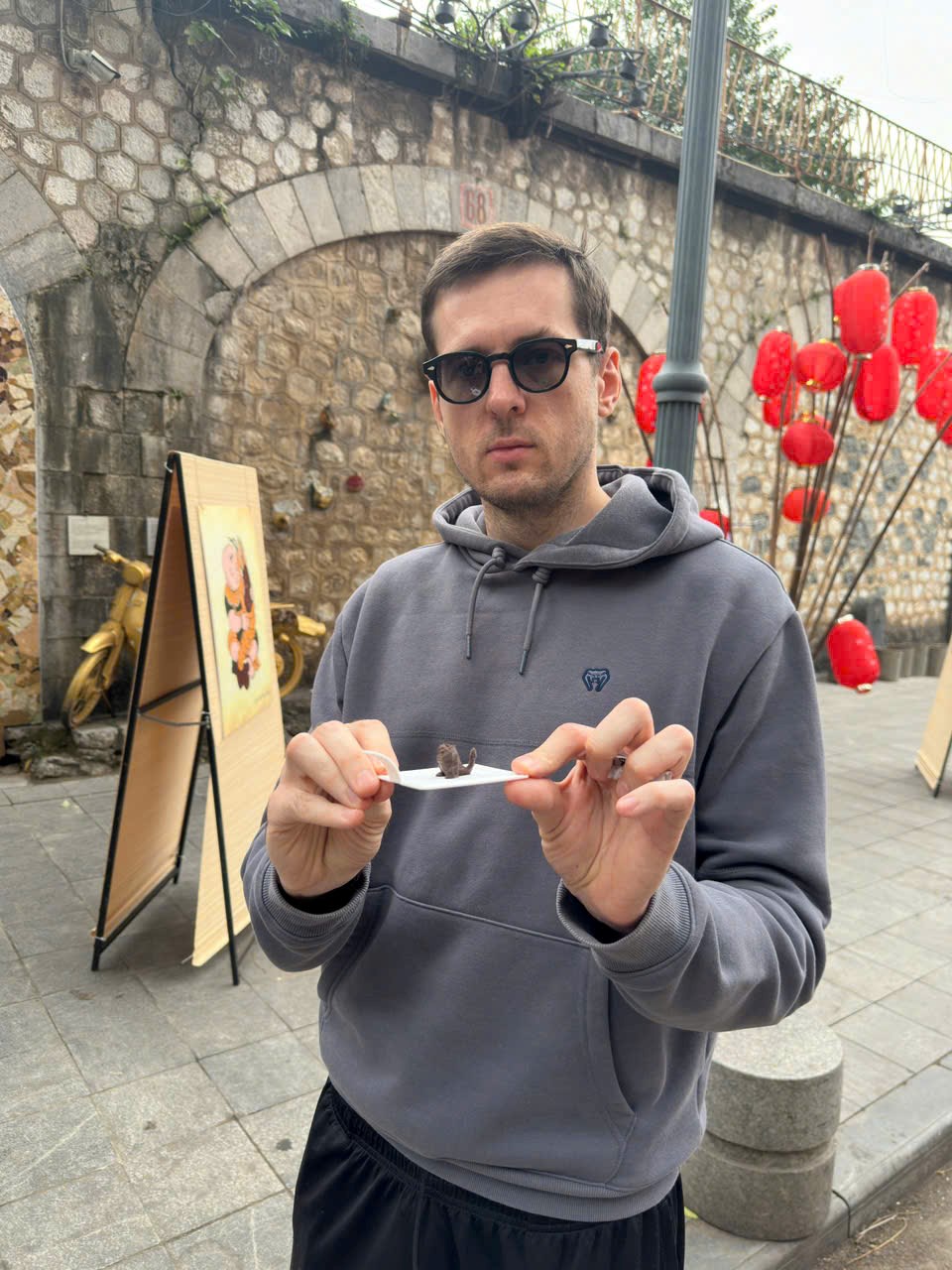 Chưa khai mạc nhưng Chợ hoa Xuân Phố cổ 2026 đã tấp nập du khách - ảnh 30