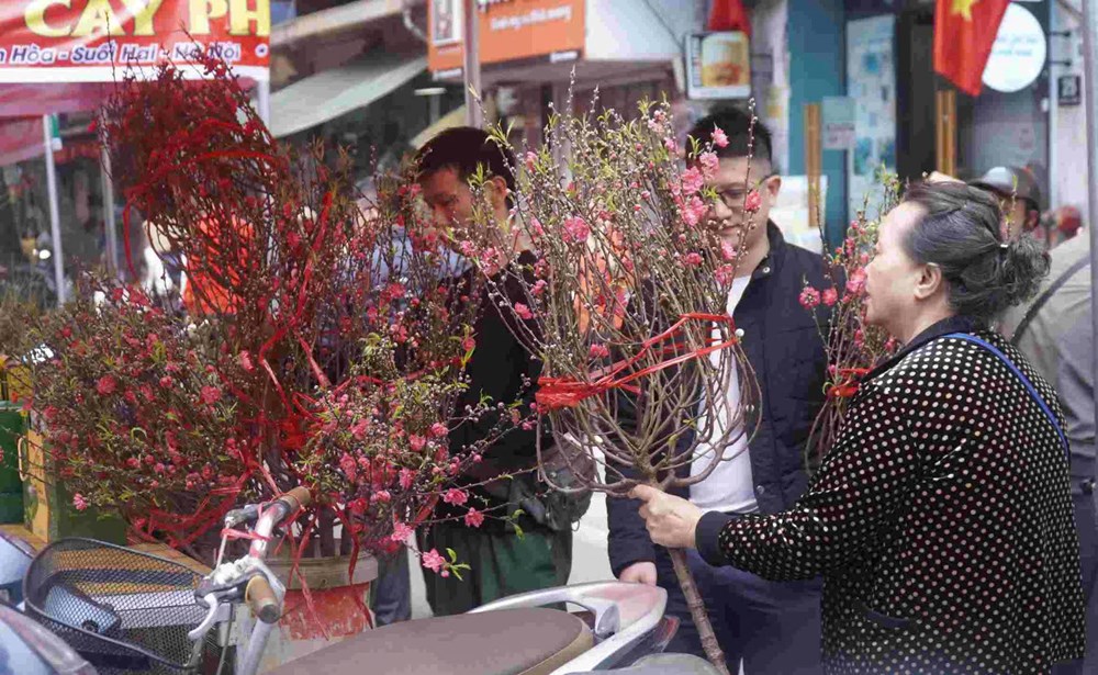 Chưa khai mạc nhưng Chợ hoa Xuân Phố cổ 2026 đã tấp nập du khách - ảnh 17