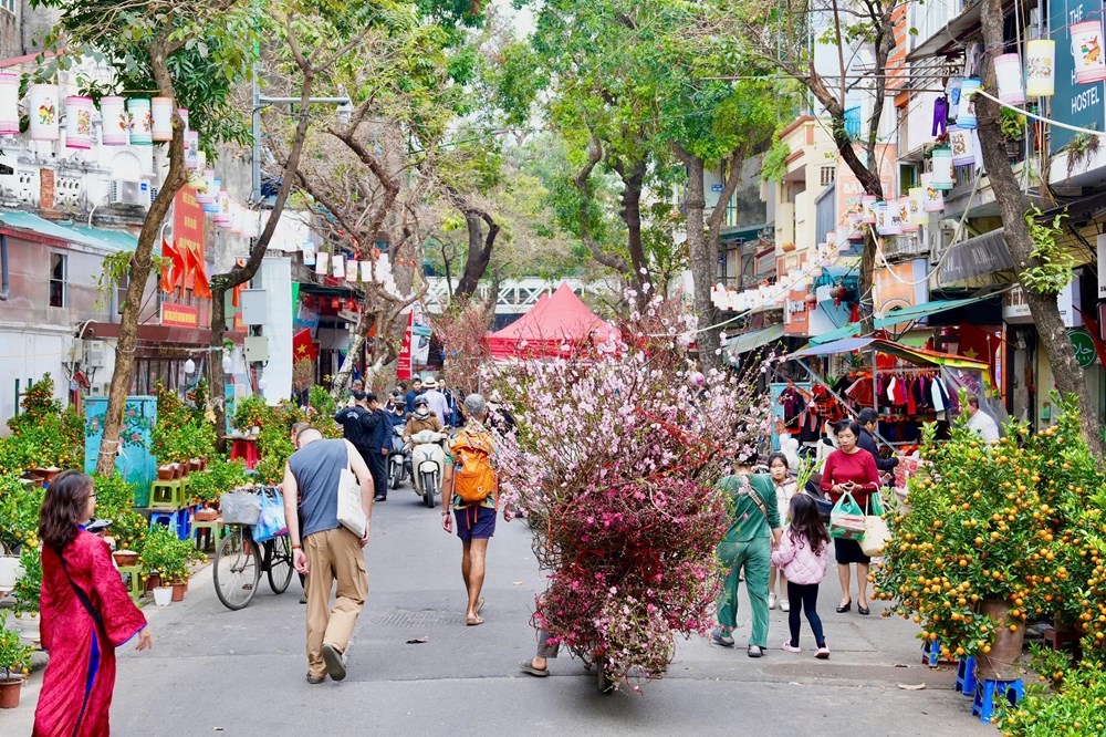 Ngày xuân khám phá chợ hoa lâu đời nhất Hà thành - ảnh 9