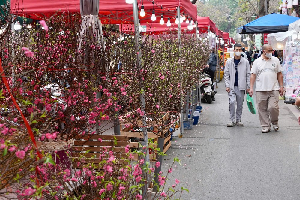 Ngày xuân khám phá chợ hoa lâu đời nhất Hà thành - ảnh 10