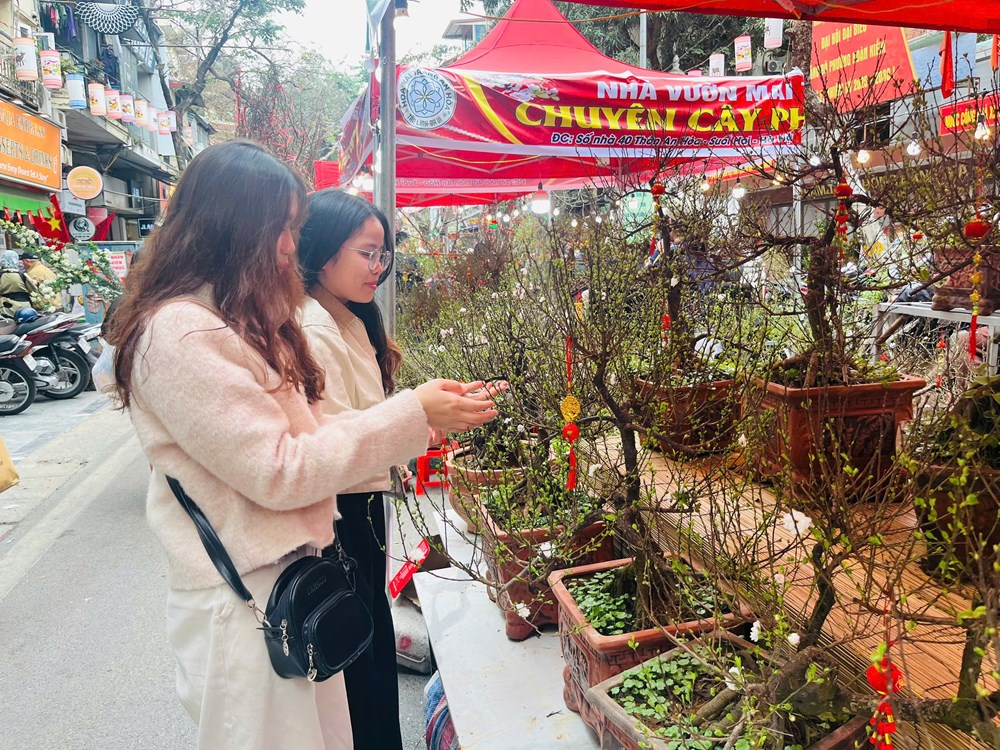 Ngày xuân khám phá chợ hoa lâu đời nhất Hà thành - ảnh 4