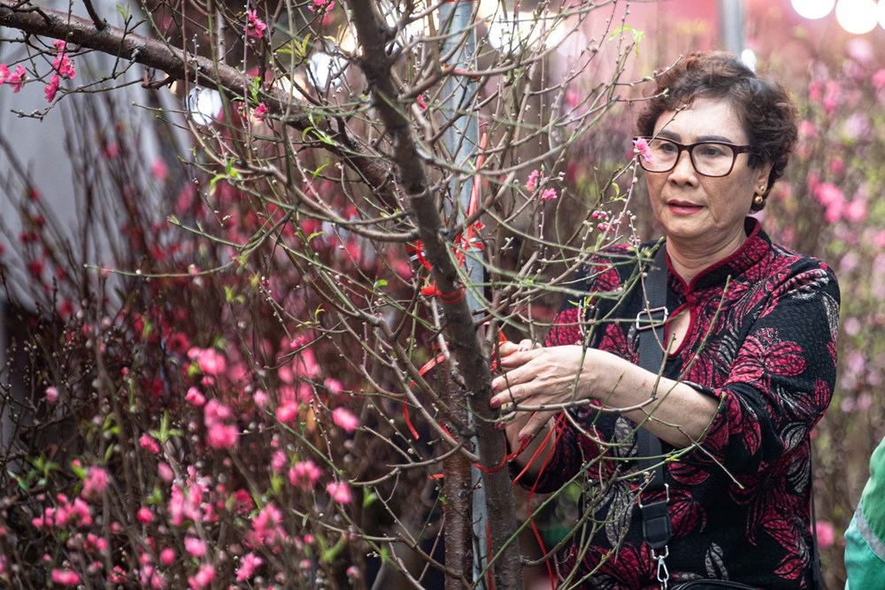 Chợ hoa Xuân Phố cổ 2026 thu hút hơn 30 nghìn lượt khách tham quan, mua sắm - ảnh 2