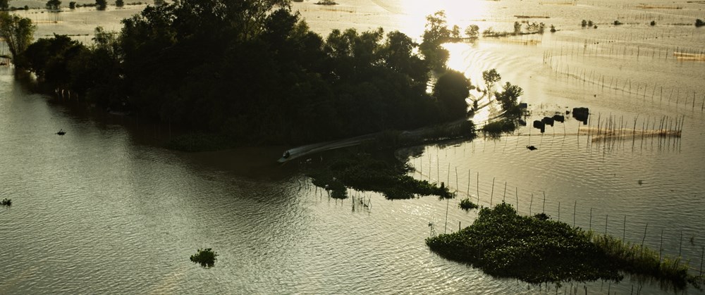 Phim “Tài” tung trailer về câu chuyện sinh tồn giữa vòng xoáy tiền bạc và ân oán - ảnh 5