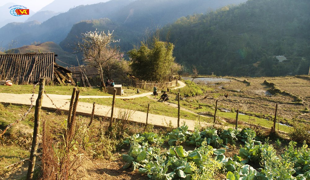 Diện mạo điện ảnh Việt Nam thời Đổi mới qua 17 tác phẩm tiêu biểu - ảnh 7