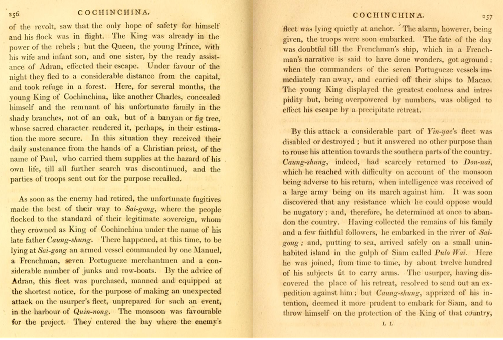 Tây Sơn và cuộc đối đầu với cỗ máy chiến tranh phương Tây (1787-1802) - ảnh 2