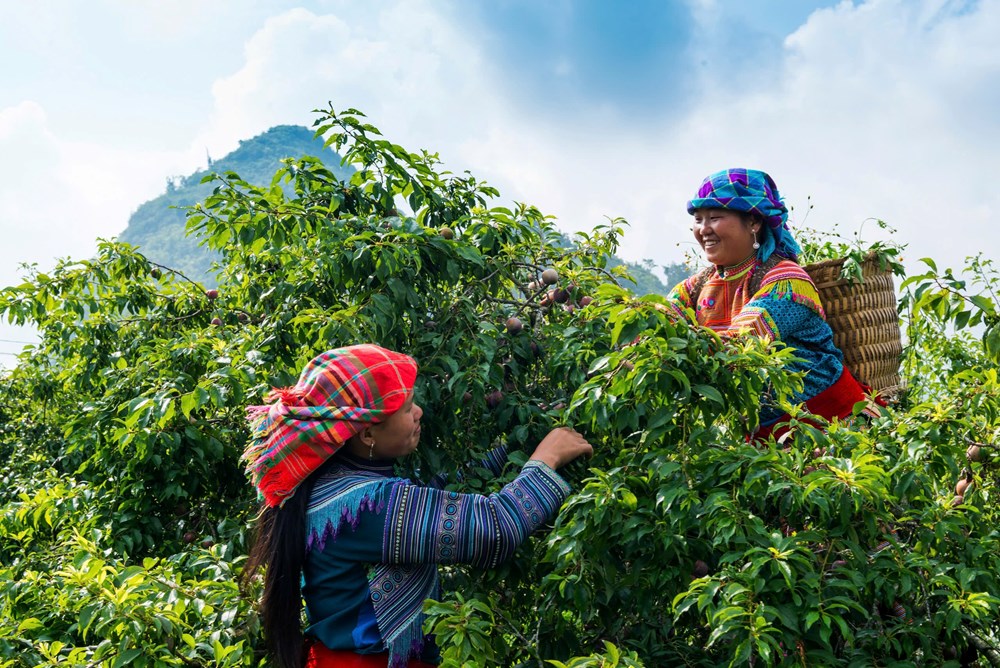 Tôn vinh bản sắc văn hoá dân tộc tại triển lãm “Hương sắc vùng cao“ - ảnh 1