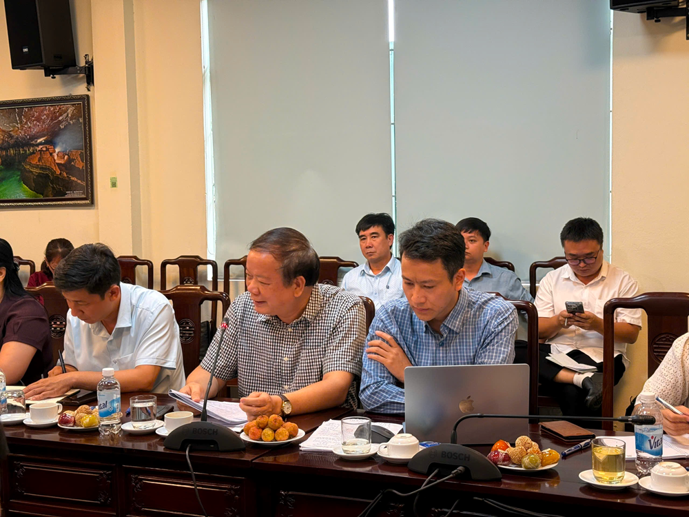 Nhận diện giá trị nổi bật toàn cầu của Cổ Loa để tiến tới hồ sơ Di sản thế giới - ảnh 4