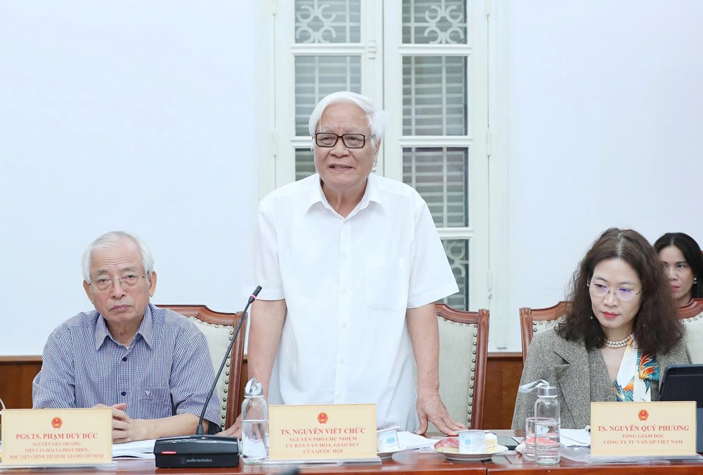 Tham vấn xây dựng Chiến lược phát triển văn hoá Việt Nam đến năm 2035, tầm nhìn 2045 - ảnh 5