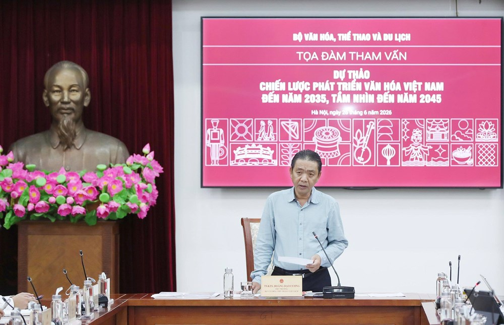 Tham vấn xây dựng Chiến lược phát triển văn hoá Việt Nam đến năm 2035, tầm nhìn 2045 - ảnh 2