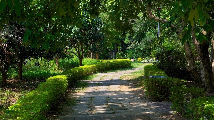 Đô thị hóa và áp lực không gian công cộng - ảnh 2
