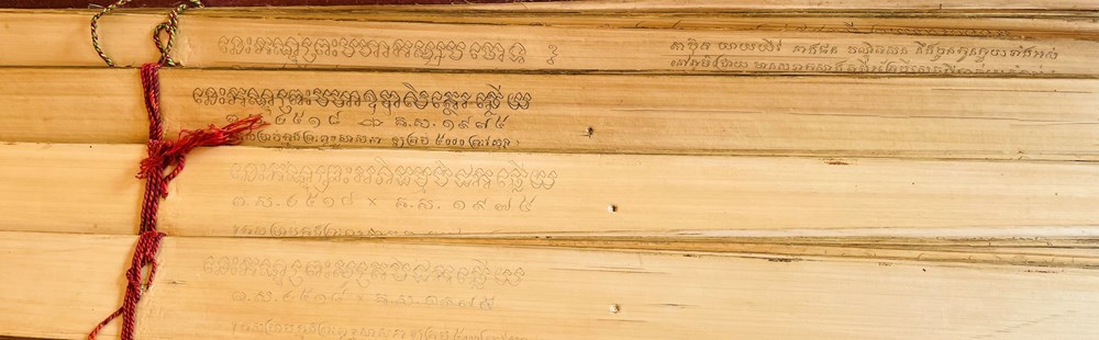 Nỗ lực bảo tồn kinh lá buông - ảnh 1