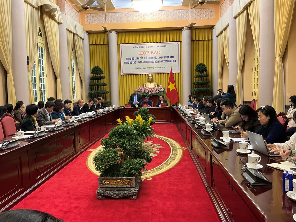 Công bố Lệnh của Chủ tịch nước về các luật liên quan lĩnh vực kinh tế  - ảnh 3