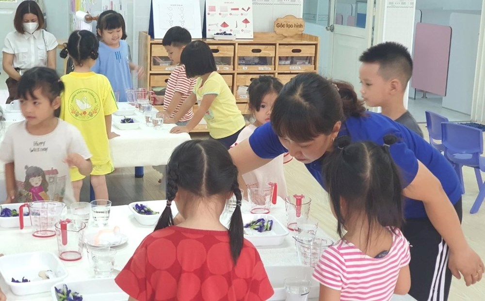 Chưa áp dụng tuổi nghỉ hưu 55 với toàn bộ giáo viên nữ - ảnh 2