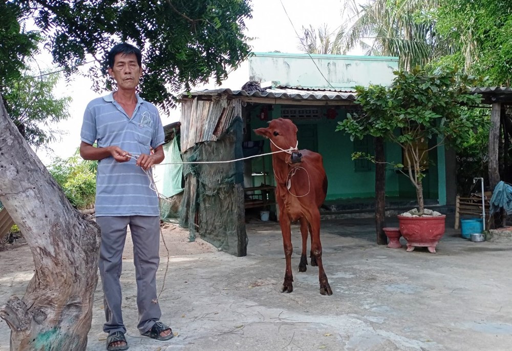 Huyện Ninh Hải triển khai đa dạng sinh kế để người dân thoát nghèo - ảnh 1