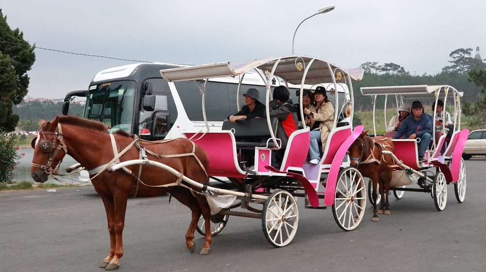 Tây Nguyên cần tăng cường liên kết phát triển du lịch - ảnh 4