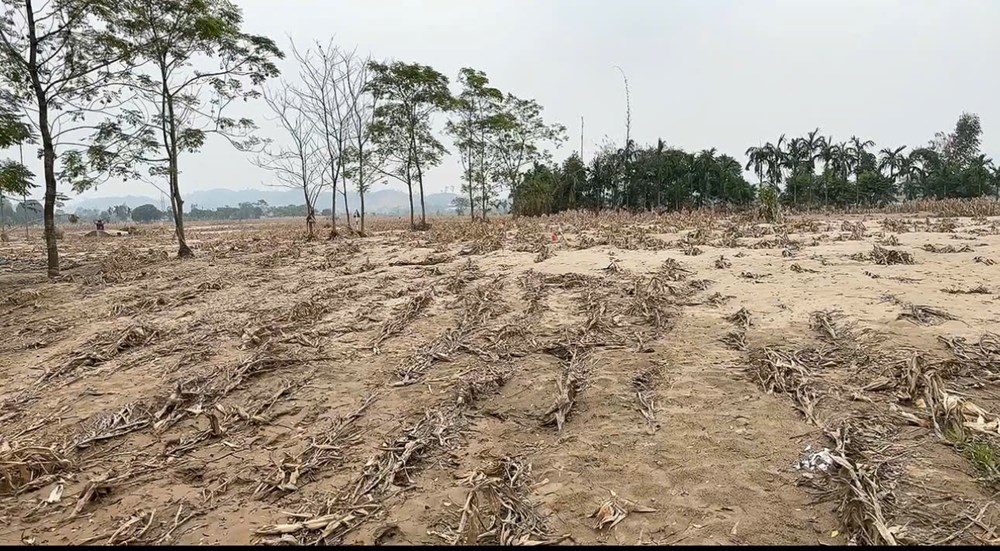 Thêm phiên chợ "không đồng” nơi vùng lũ thôn Cửa Ngòi - ảnh 4