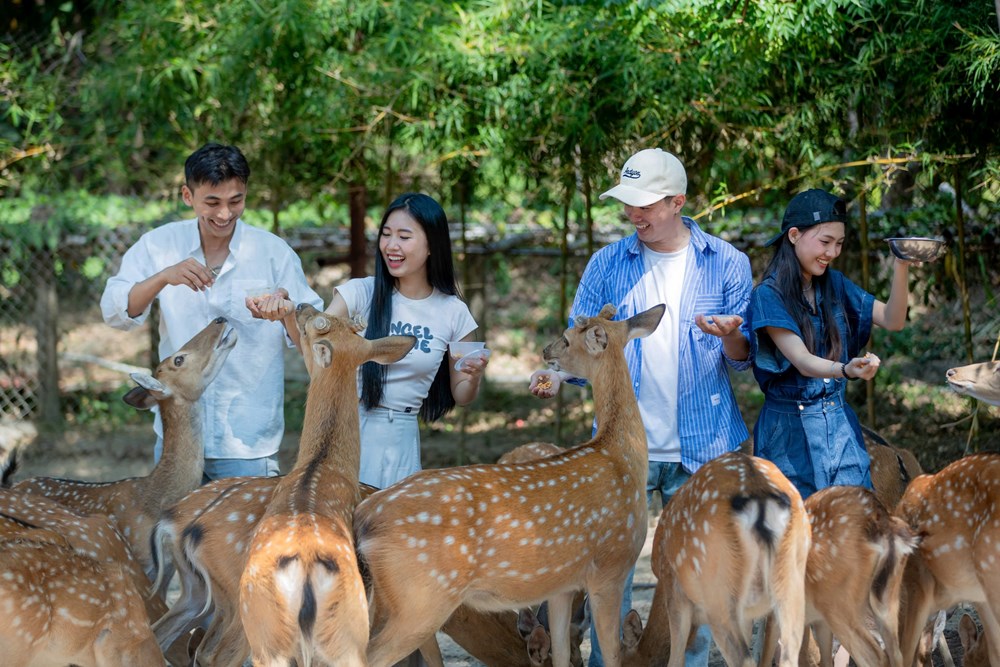 Phát động Chương trình “Du lịch xanh – Không rác thải“ - ảnh 5