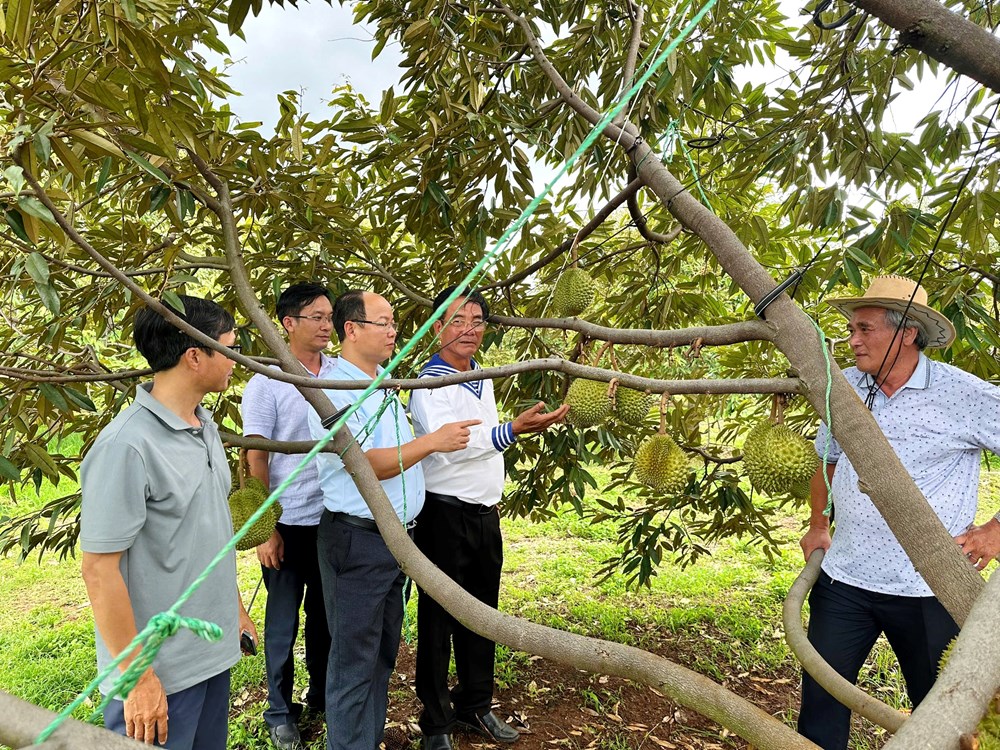 Làm gì để thu hút du khách đến Tây Nguyên? - ảnh 5