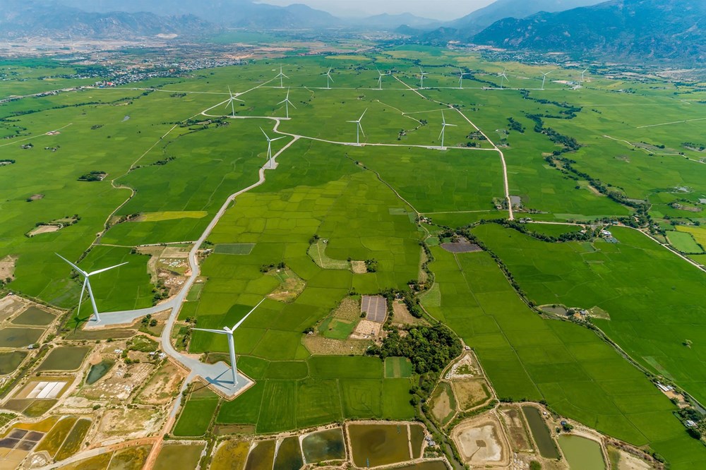 Ninh Thuận: Chủ động hỗ trợ doanh nghiệp tiếp cận nguồn vốn vay đầu tư - ảnh 2