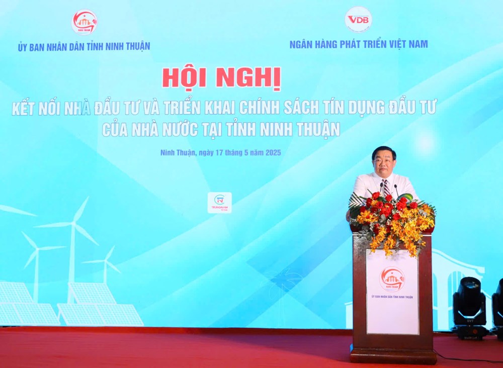 Ninh Thuận: Tập trung thu hút đầu tư vào các lĩnh vực trọng điểm - ảnh 2