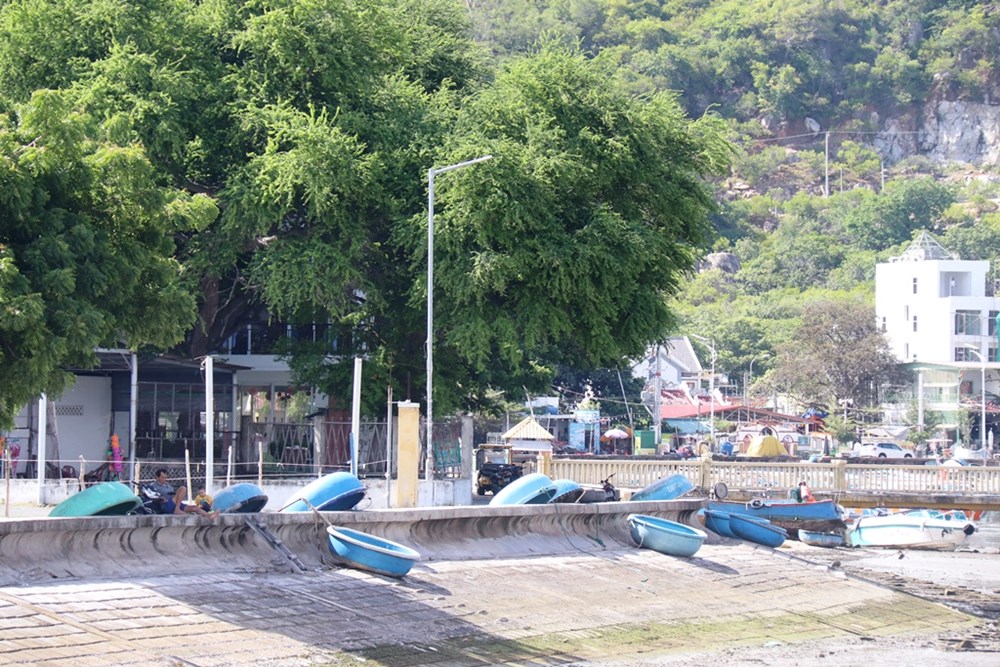 Vĩnh Hy – làng chài “thức giấc” cùng du lịch - ảnh 3
