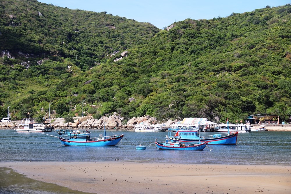Vĩnh Hy – làng chài “thức giấc” cùng du lịch - ảnh 8