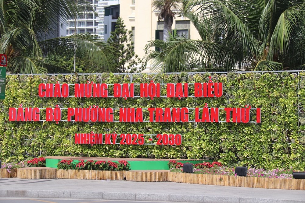 Không khí hân hoan trước thềm Đại hội đại biểu Đảng bộ tỉnh - ảnh 11