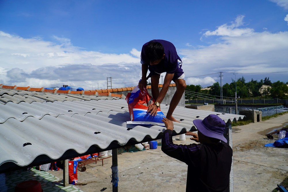 Khánh Hòa: Triển khai ứng phó khẩn cơn bão Kalmaegi - ảnh 1