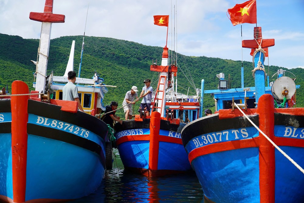 Khánh Hòa: Triển khai ứng phó khẩn cơn bão Kalmaegi - ảnh 2