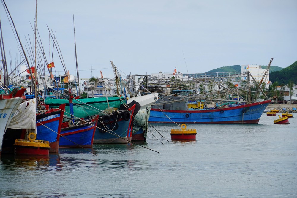 Khánh Hòa: Triển khai ứng phó khẩn cơn bão Kalmaegi - ảnh 4