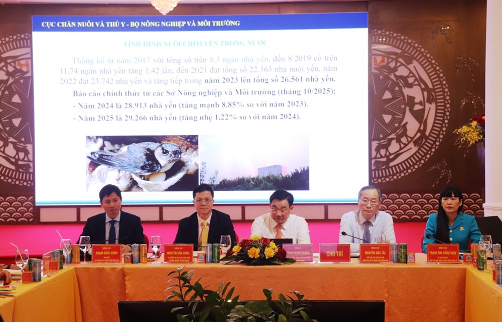 Khánh Hòa: Tìm giải pháp bảo vệ và phát triển bền vững quần thể chim yến - ảnh 3