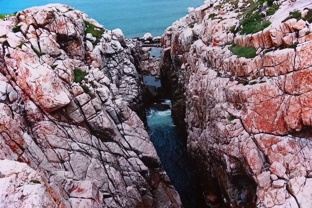 Khánh Hòa: Tìm giải pháp bảo vệ và phát triển bền vững quần thể chim yến - ảnh 5