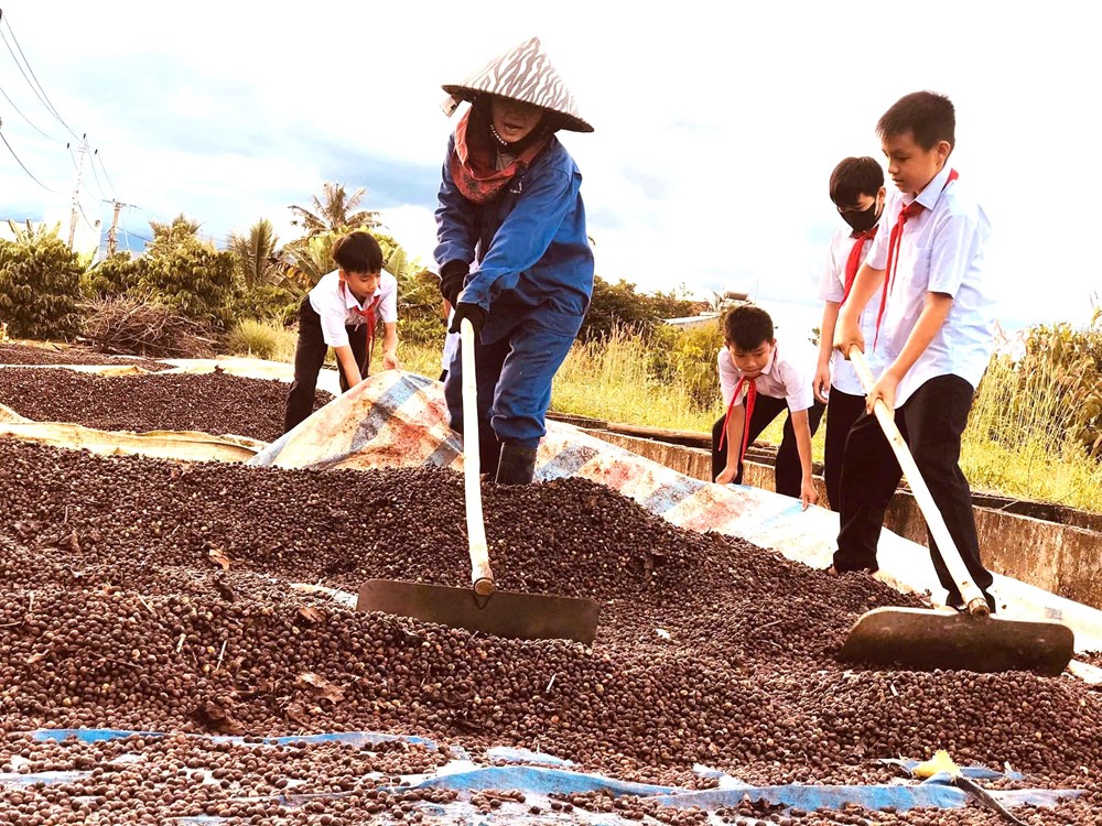 Đất đỏ bazan kể chuyện ước mơ học trò - ảnh 2
