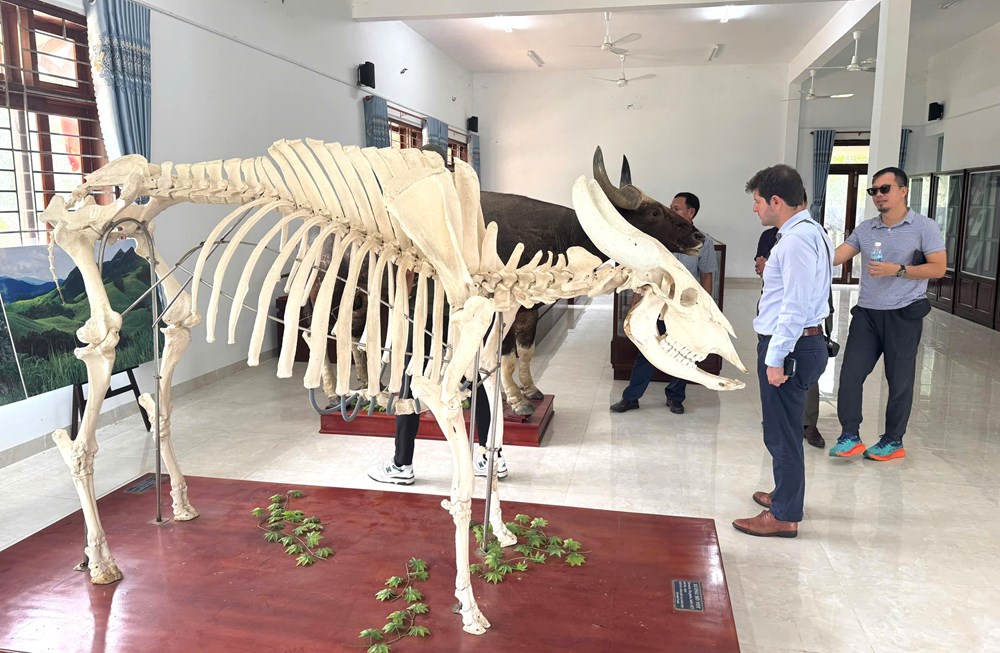 Khảo sát, tham vấn hoàn thiện Chiến lược phát triển du lịch - ảnh 6