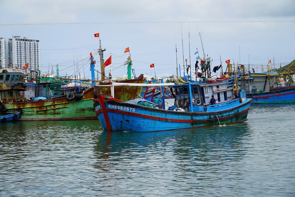 Khánh Hòa khẩn cấp cấm biển ứng phó bão số 15  - ảnh 1