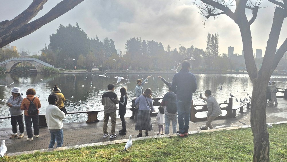 Đến Côn Minh chiêm ngưỡng hàng vạn chim hải âu tung cánh - ảnh 16