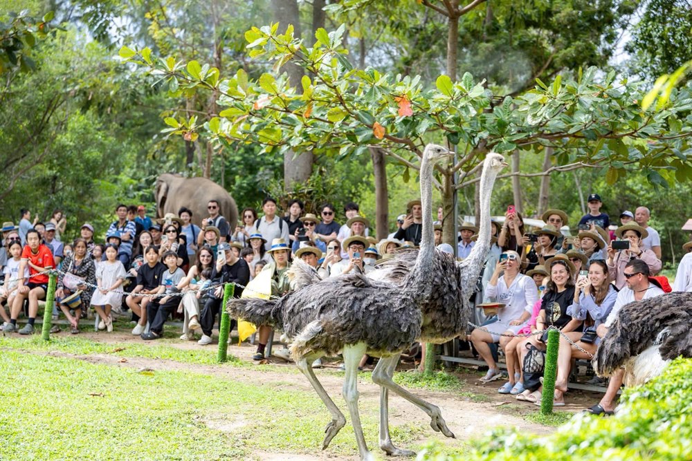 Khánh Hòa đón hơn nửa triệu lượt khách dịp Tết Dương lịch 2026 - ảnh 6