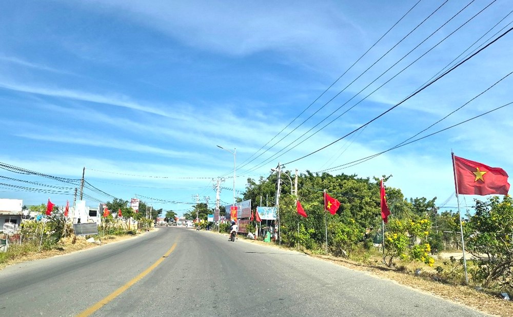 Khánh Hòa: Rực rỡ sắc cờ chào mừng Đại hội đại biểu toàn quốc lần thứ XIV của Đảng - ảnh 8