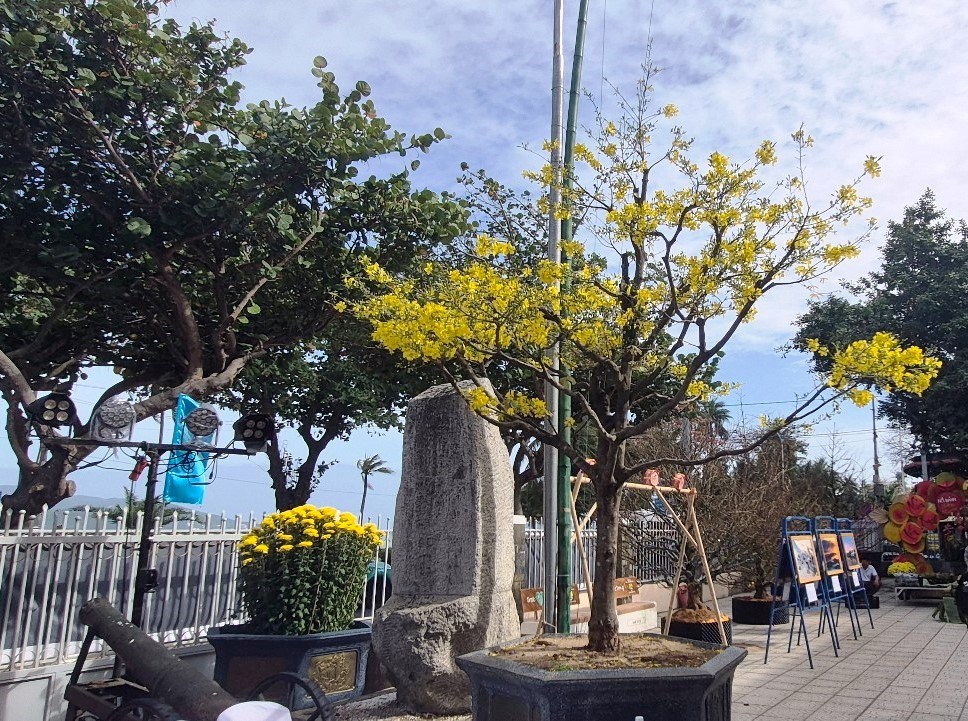 Khánh Hòa: Rạo rực sắc Xuân, rạng rỡ phố biển - ảnh 2