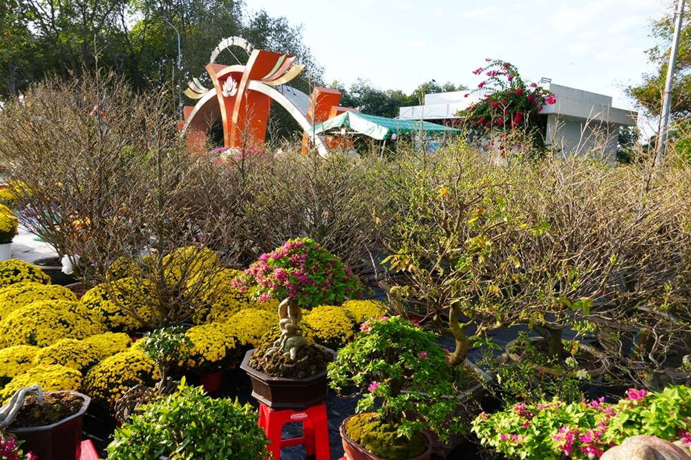 Khánh Hòa: Rạo rực sắc Xuân, rạng rỡ phố biển - ảnh 6