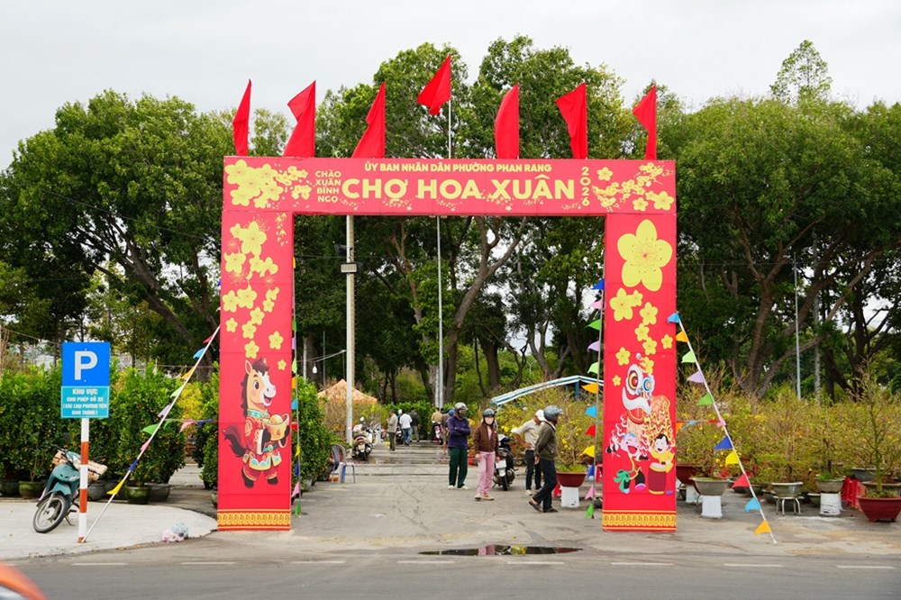 Khánh Hòa: Rạo rực sắc Xuân, rạng rỡ phố biển - ảnh 7
